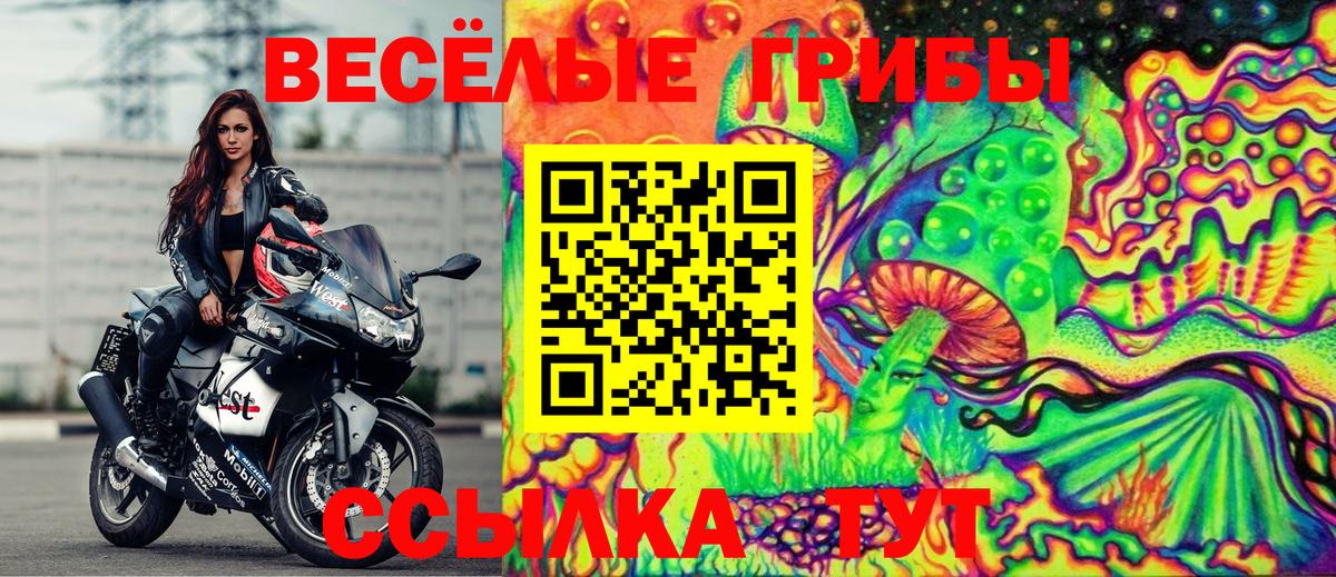 Галлюциногенные грибы ЛСД  Вход с VPN  Елизово 